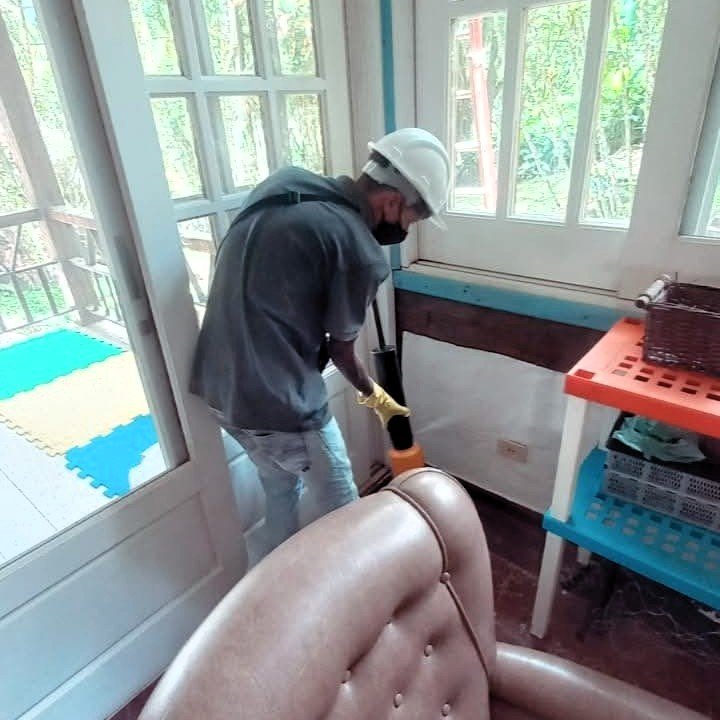 Dedetização